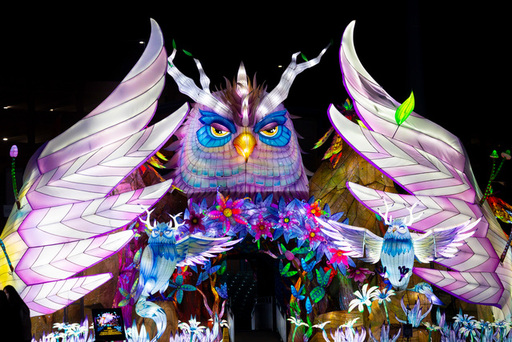 043_03_Owl.jpg