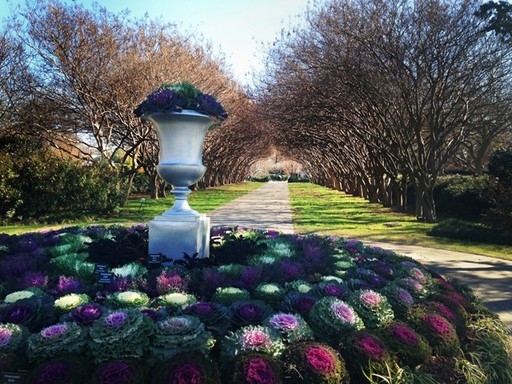 Dallas Arboretum