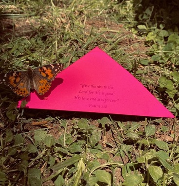 Juliette Fowler Communities Butterfly Release