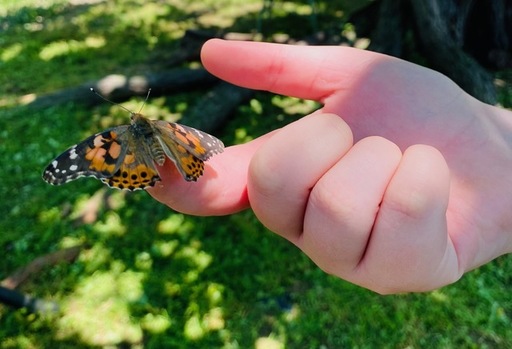 Juliette Fowler Communities Butterfly Release