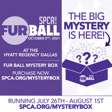 Fur Ball Mystery Box
